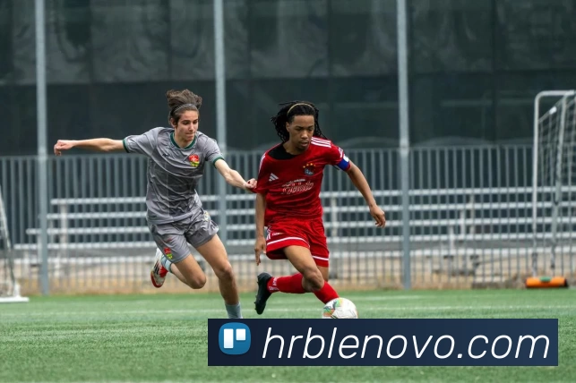 九游体育平台生态图